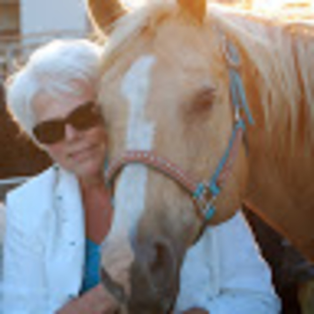 Meet your Posher, Barbara